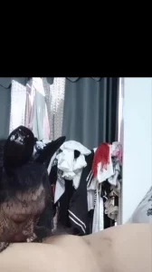 调教露脸英语老师强行射嘴里